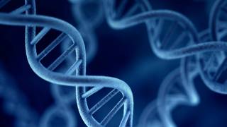 Breakthrough in Understanding the Genetic Contribution to Intelligence