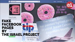 Fake Facebook Pages About Feminism, Environment, Run By The Israel Project To Influence Views On Israel