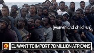 EU Want To Import 70 Million Africans